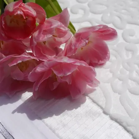 Halkidiki Kassandra 3p Exclusive Peace & Beautiful Views Tatil Evi *