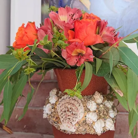 Halkidiki Kassandra 3p Exclusive Peace & Beautiful Views * Aya Paraskevi