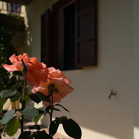 Vakantiehuis Halkidiki Kassandra 3p Exclusive Peace & Beautiful Sea Views Agia Paraskevi (Kassandra)