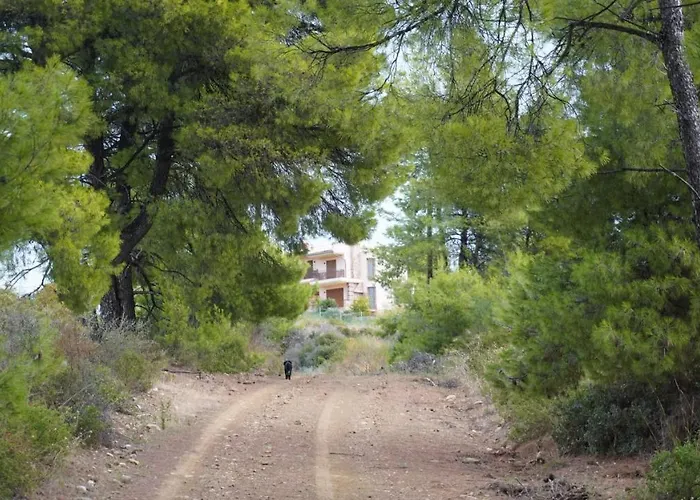 Halkidiki Kassandra 3p Exclusive Peace & Beautiful Sea Views * Agia Paraskevi (Kassandra)