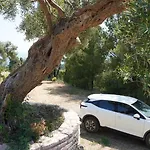 Case de vacanță Halkidiki Kassandra 3p Exclusive Peace&beautiful Sea Views