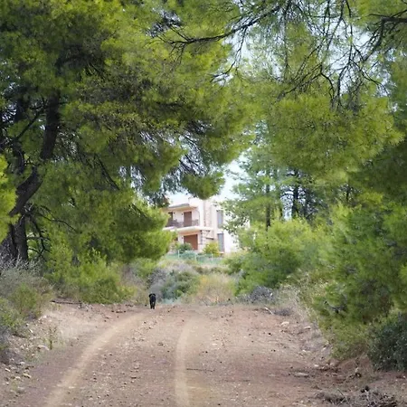 Halkidiki Kassandra 3p Exclusive Peace & Beautiful Sea Views * アギア・パラスカヴィ